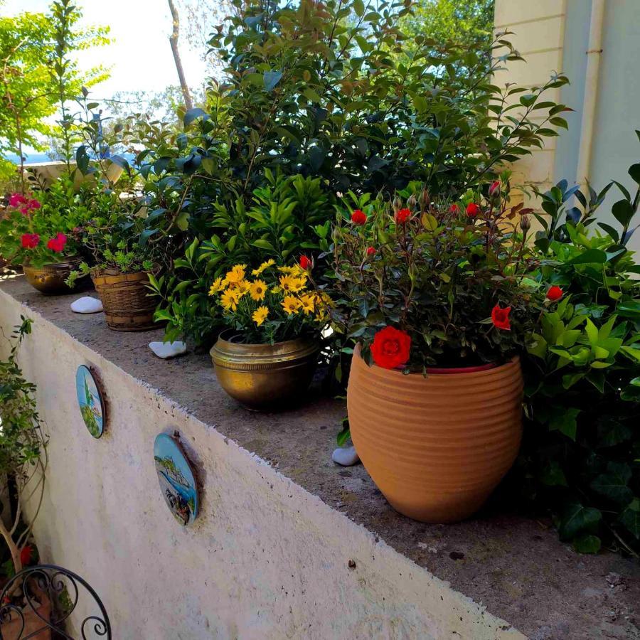 Casa Di Rosi, Seaview Studio In Corfu Town Exterior photo
